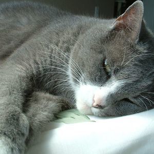 Meet your Posher, Lynn